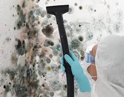 Best Biohazard Mold Removal in Richlands, VA